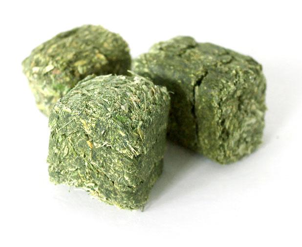 Alfalfa Mini Cubes 50lbs Lakeland, FL Lay's Western Wear and Feed