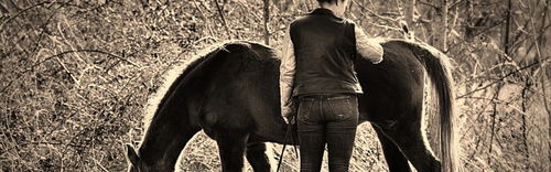 Grooming Tips: How to Shed Out Your Horse's Winter Coat