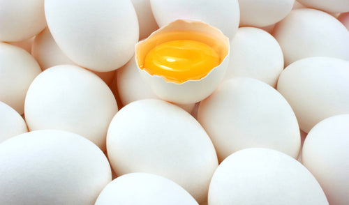 Aumento de la fuerza de la cáscara en huevos de gallina