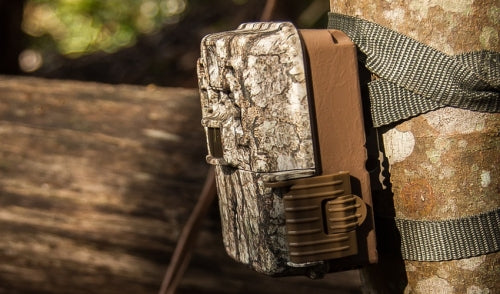How to Pick the Best Spots for Your Trail Cams