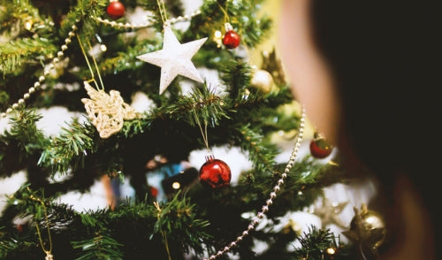 Consejos para compradores primerizos de árboles de Navidad reales
