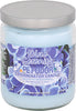 Blue Serenity Candle