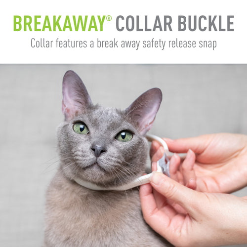 Flea & Tick Collar for Cats