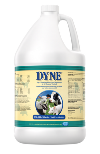 Dyne High Calorie Livestock Supplement