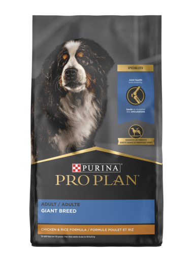 Adult Giant Breed Chicken & Rice Formula Dry Food