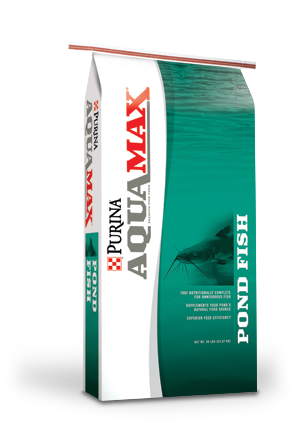 box fish diet Aquamax Pond Fish 4000 Fish Food 50lbs - Lakeland, FL