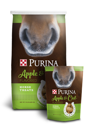 Apple & Oat Horse Treats