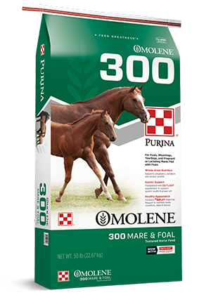 Omolene #300 Fórmula para el crecimiento de yeguas y potros Alimento para caballos 