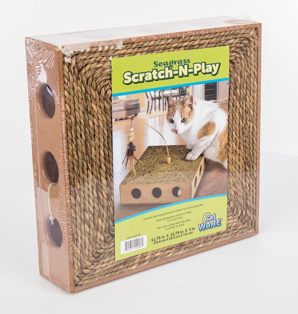 Seagrass Scratch N' Play