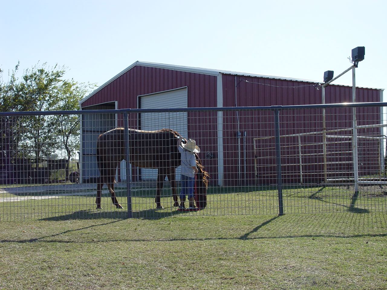 High Tensile Gaucho Field Fence - Lakeland, FL - Lay's Western Wear and Feed, image size:1280x960